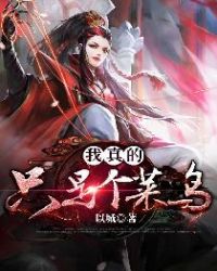 我真的只是普通人小说